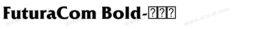 FuturaCom Bold字体转换
